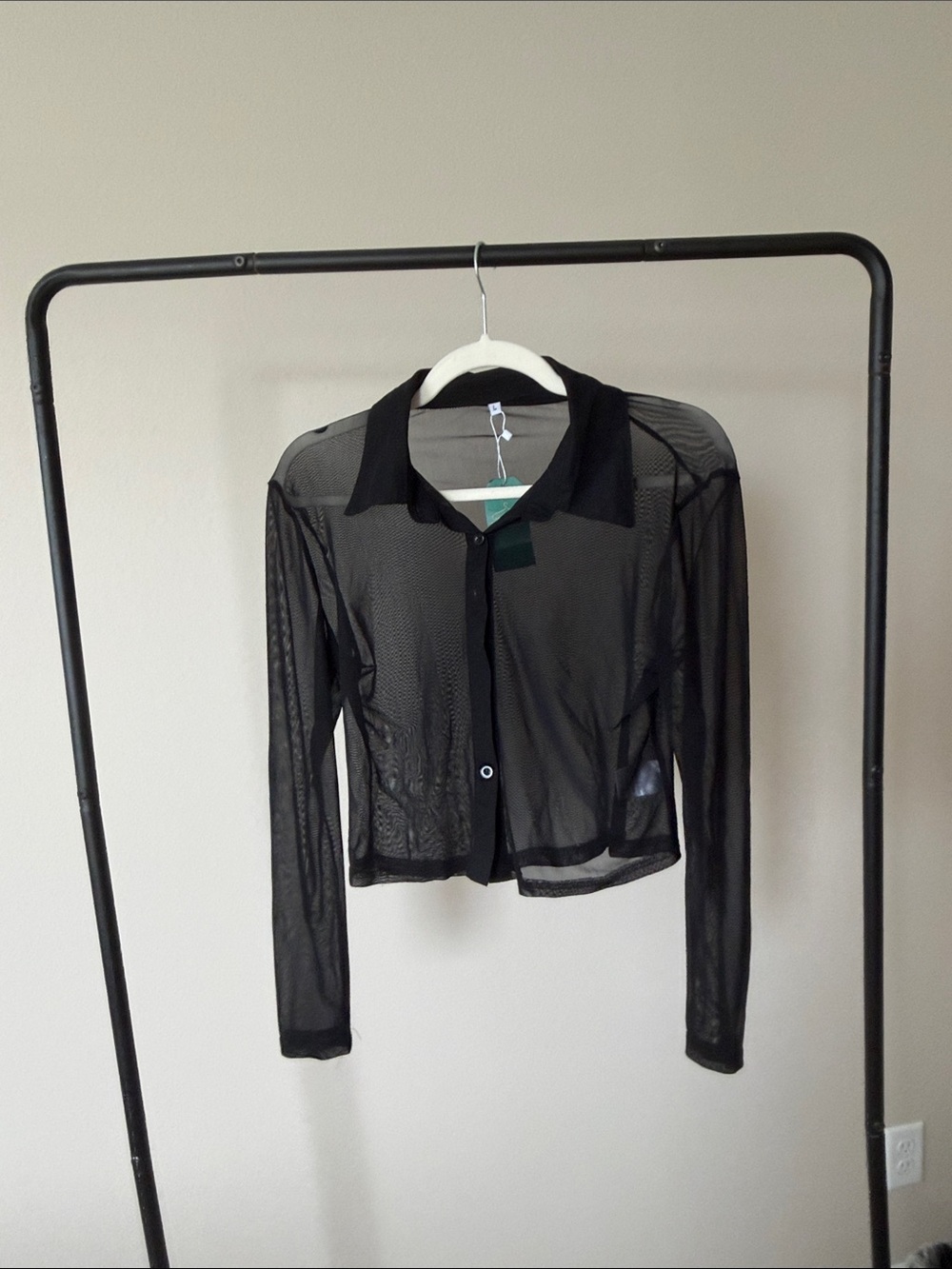 Sheer Black Long-Sleeve Button-Up crop Top